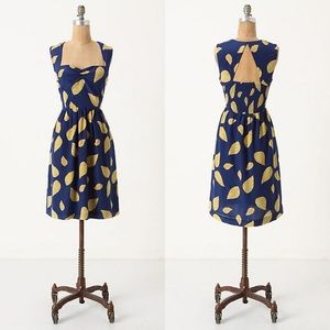 Anthropologie Maple Tupelo Dress